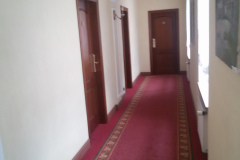 20151116_145310 20151116_145310