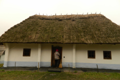dscn2172