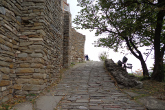 dsc00406