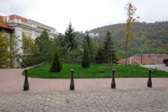 dsc00476