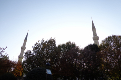 dsc00485