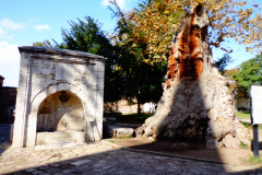 dsc00650