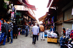dsc00801