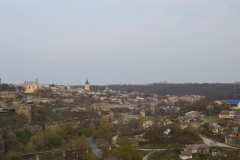 dsc1099